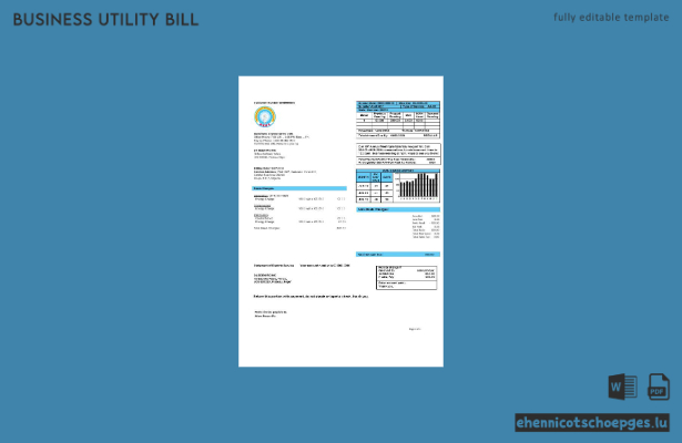 Nigerianische Regulierungsbehörde für Elektrizität (Nigeria Electricity Regulatory Commission) – Beispiel einer Stromrechnung für Unternehmen (Vorschau)